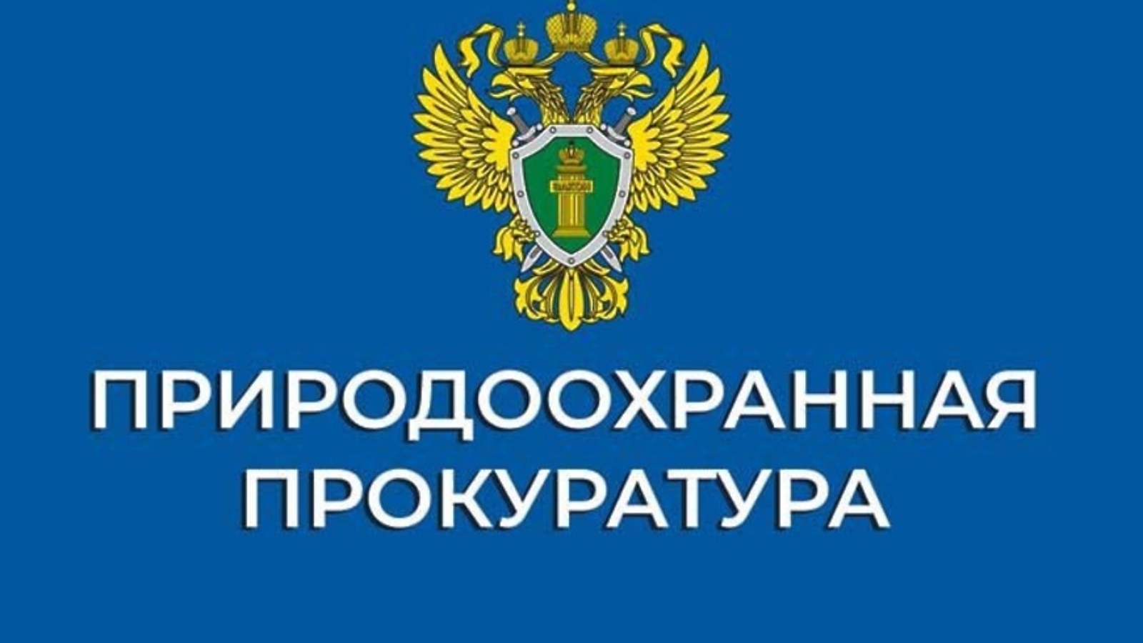 Томская межрайонная природоохранная прокуратура информирует об изменениях лесного законодательства.