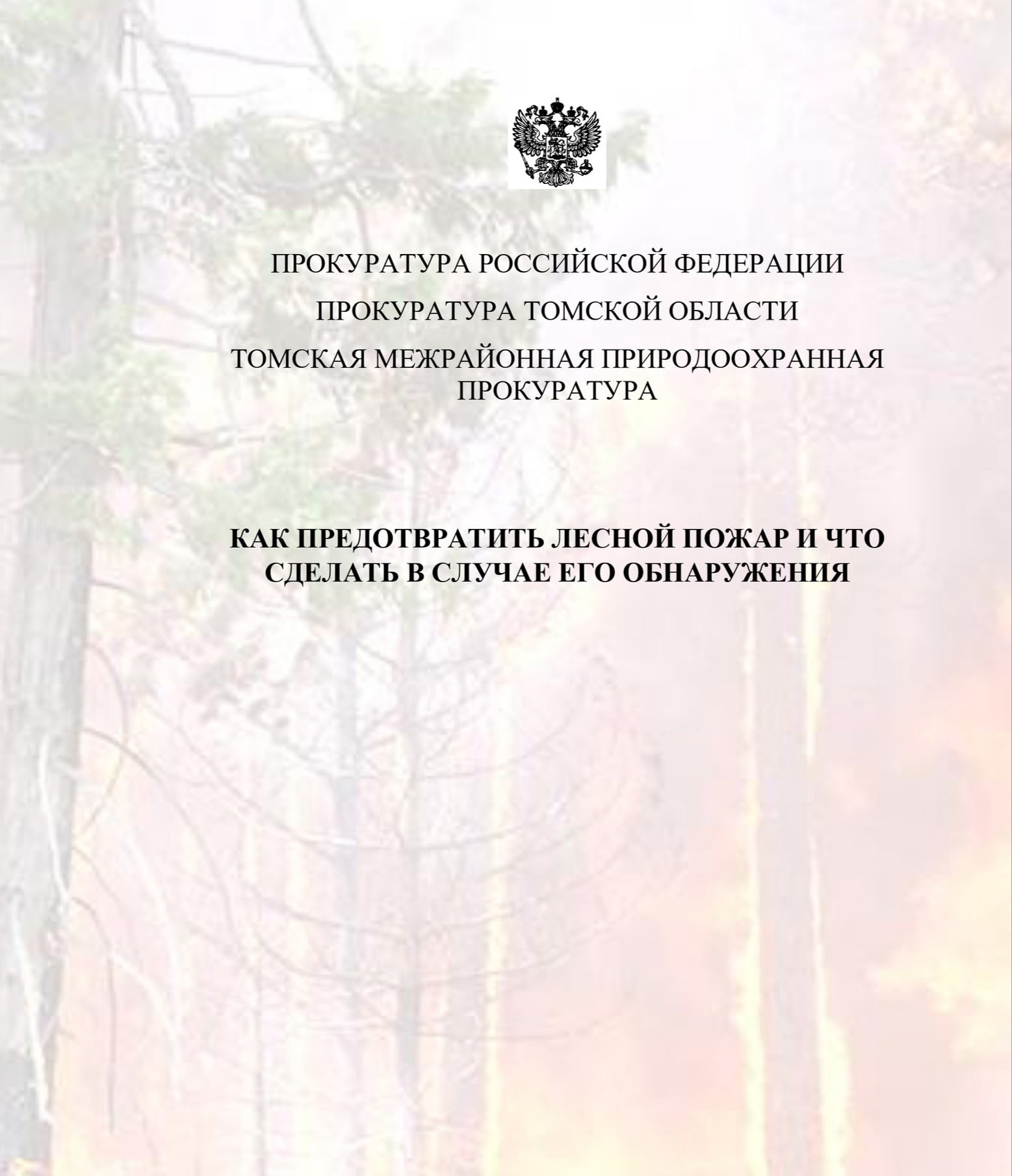 Природоохранная прокуратура рассказывает как предотвратить лесной пожар и что сделать в случае его обнаружения!.