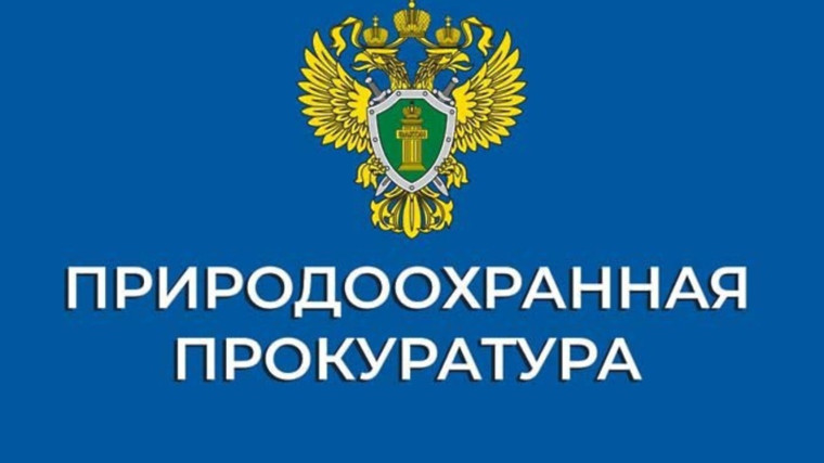 Томская межрайонная природоохранная прокуратура отреагировала на нарушения закона на крупной лесопилке.. Томская межрайонная природоохранная прокуратура отреагировала на нарушения закона на крупной лесопилке..